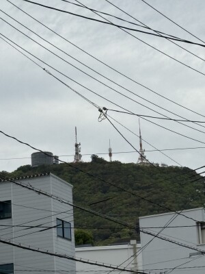 3940f631-d452-443d-888c-e0cc64e3344b